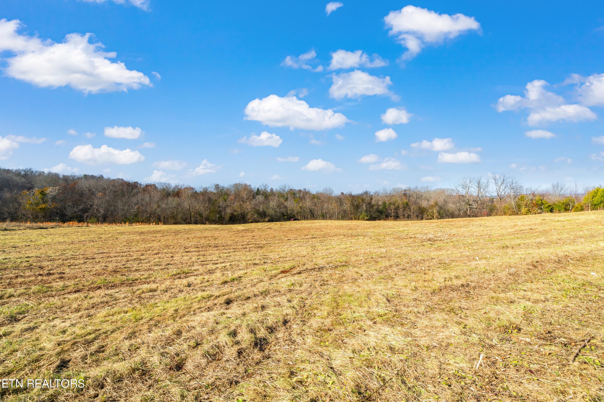 6 Hiwassee Road Sweetwater, TN 37874 - Photo 4 of 36 Gallery Image 4