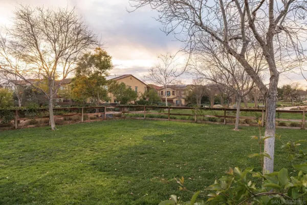 a garden view