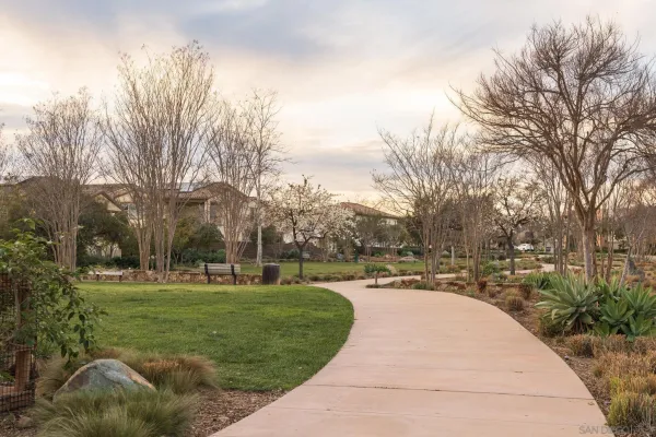 a view of a park with large trees