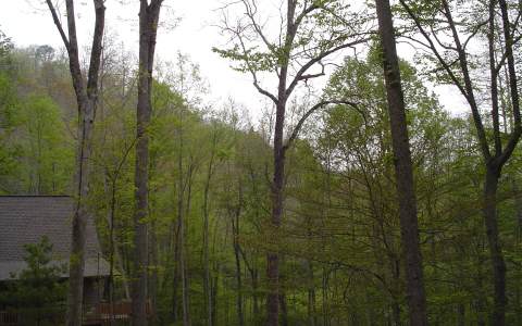 26 Happy Valley Road Hiawassee, GA 30546 - Photo 1 of 1 Main View