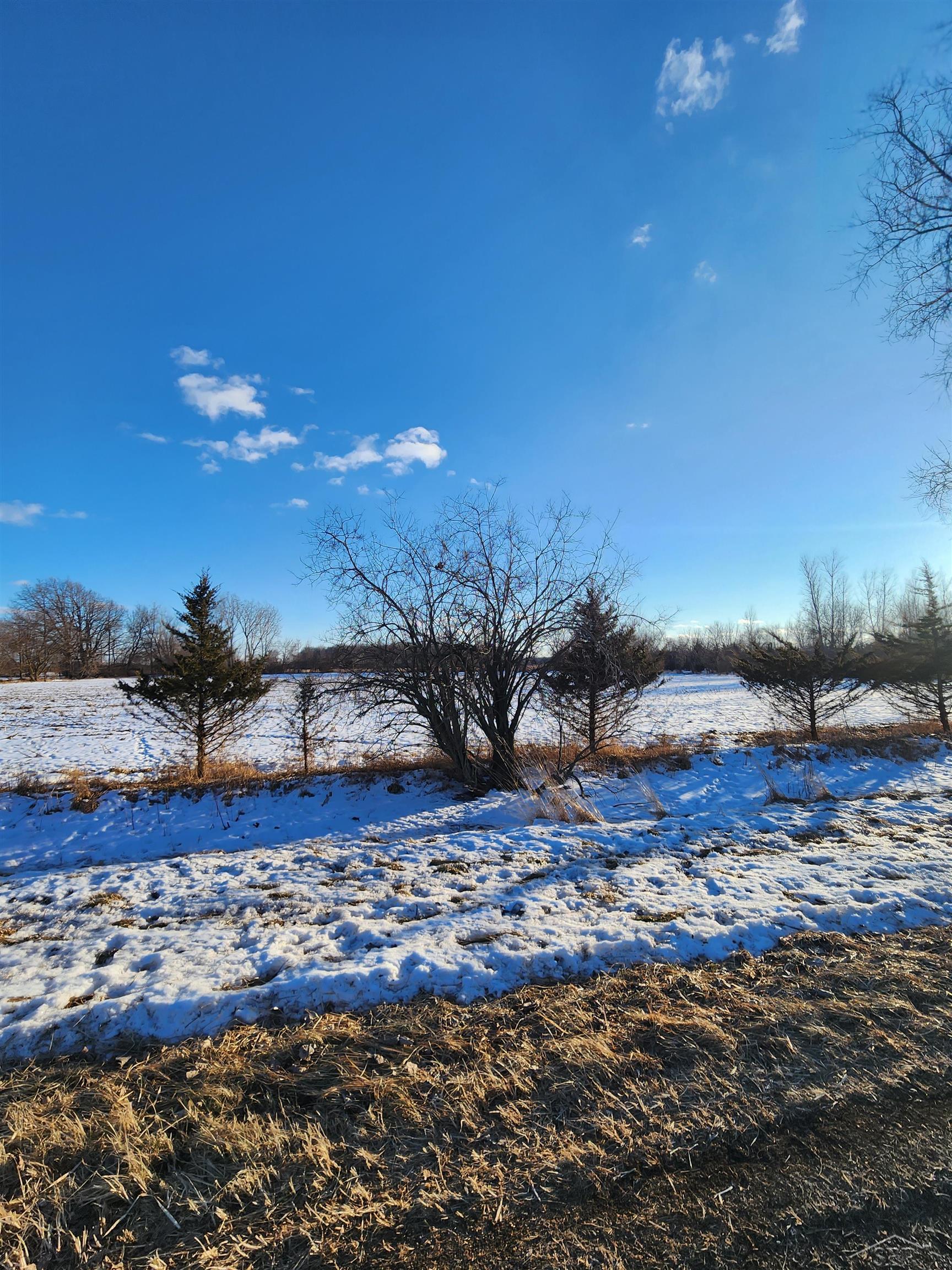 0 McKay Road St. Charles, MI 48655 - Photo 2 of 19 Gallery Image 2