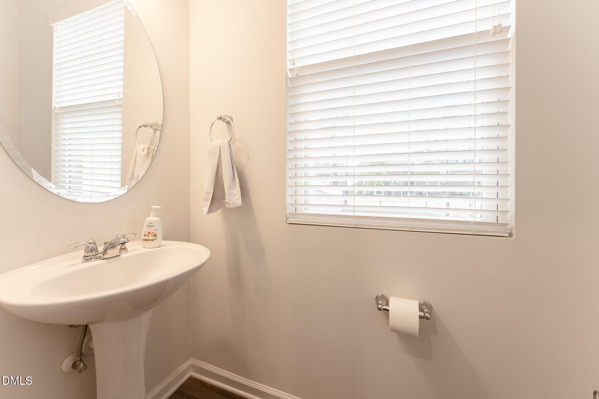 1296 Barn Cat Way Apex, NC 27502 - Photo 19 of 22 a bathroom with a sink and a mirror