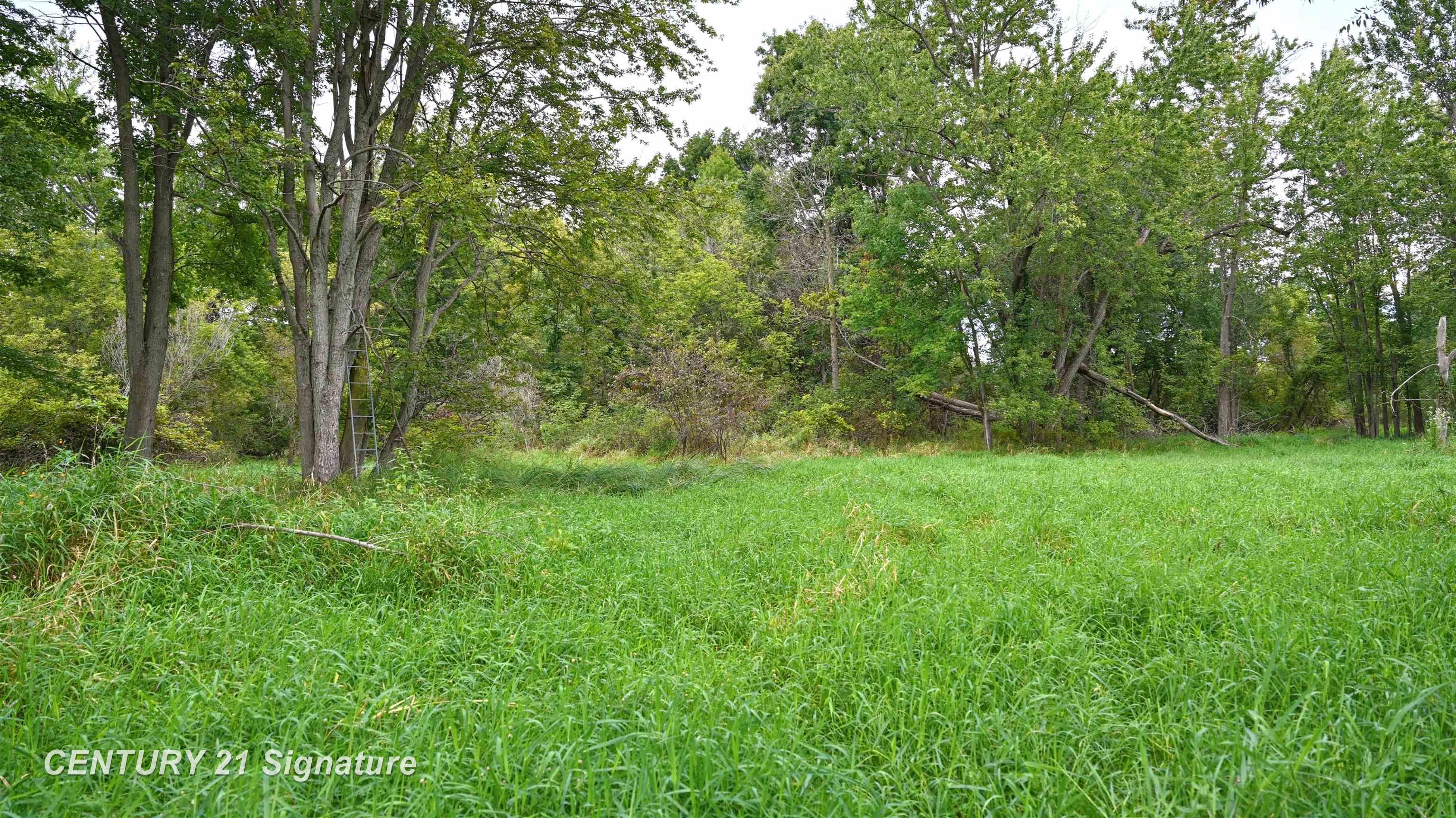0 Tyrrell Road Owosso, MI 48867 - Photo 14 of 41 50221544-6f3ee4fd-ce14-4a70-a0a1-bc748643dc77.JPG