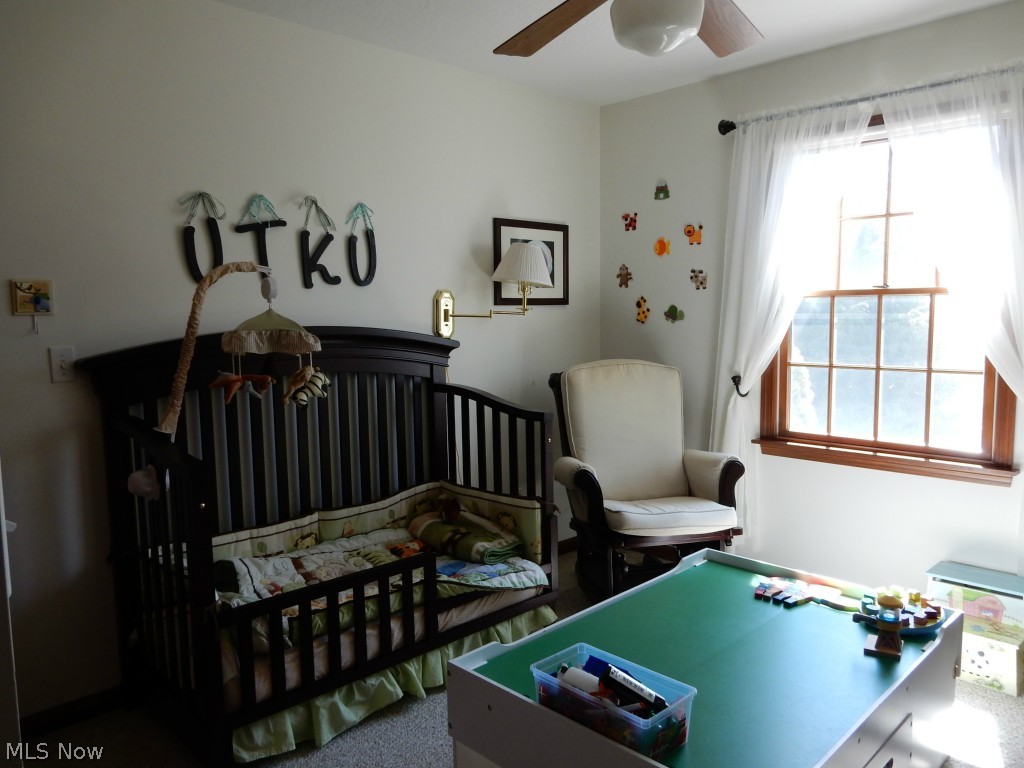 3901 Batdorf Road Wooster, OH 44691 - Photo 17 of 18 Gallery Image 17