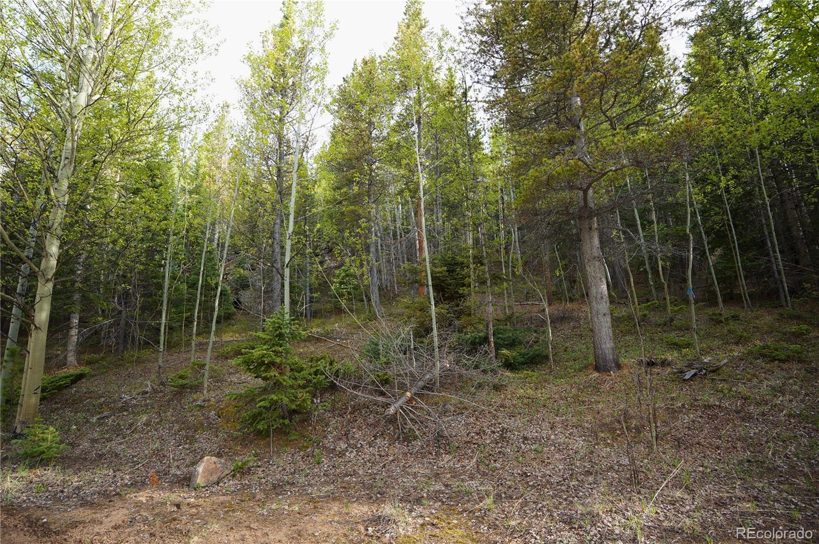 0 Trail Creek Road Idaho Springs, CO 80452 - Photo 4 of 16
