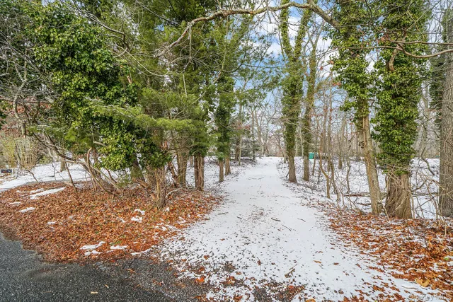 a view of road and trees