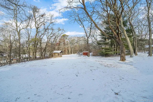 a view of road and trees
