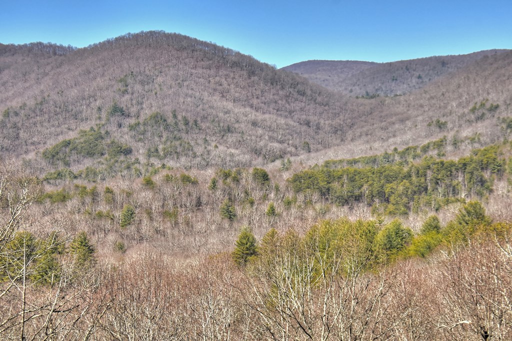 22 Prospectors Ridge Road Ellijay, GA 30536 - Photo 33 of 55
