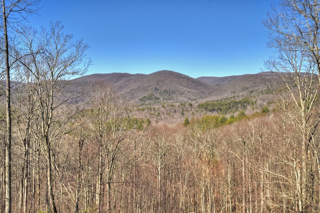 22 Prospectors Ridge Road Ellijay, GA 30536 - Photo 34 of 55