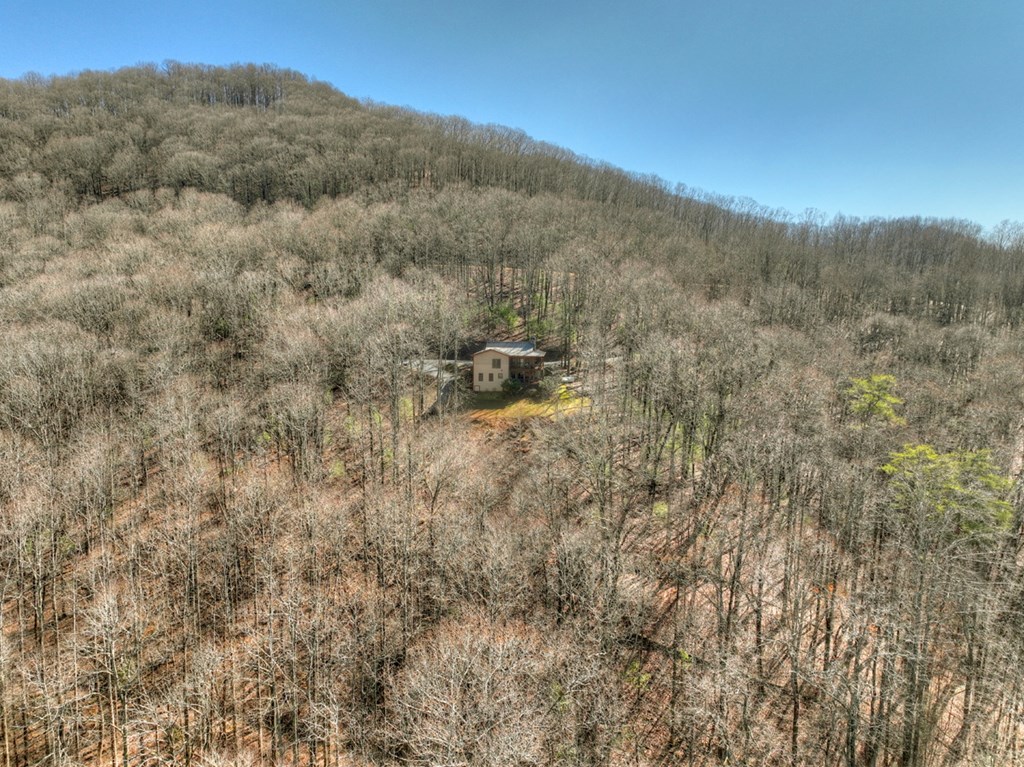 22 Prospectors Ridge Road Ellijay, GA 30536 - Photo 43 of 55