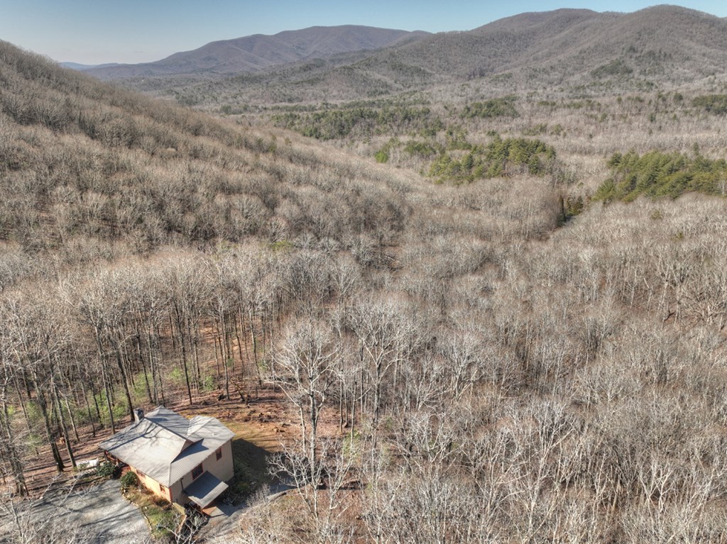 22 Prospectors Ridge Road Ellijay, GA 30536 - Photo 48 of 55