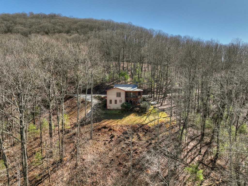 22 Prospectors Ridge Road Ellijay, GA 30536 - Photo 54 of 55