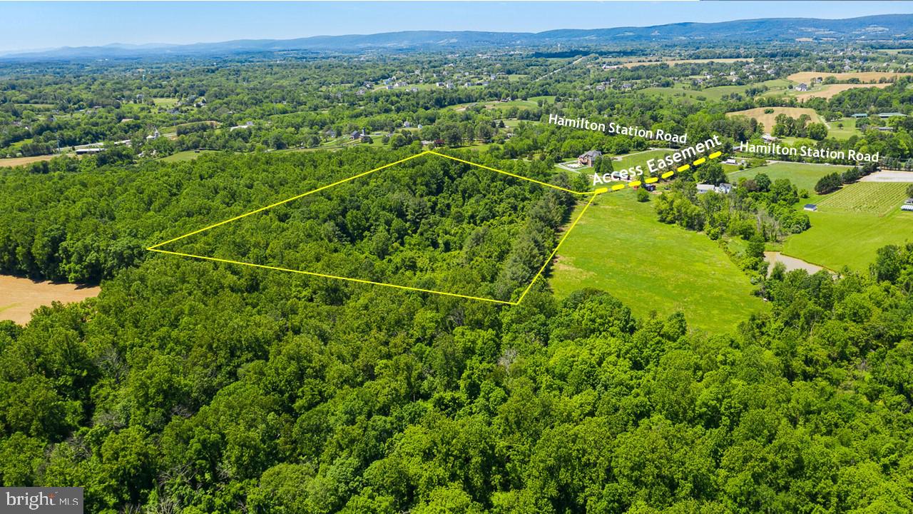 Hamilton Station Road Paeonian Springs, VA 20129 - Photo 2 of 23 Gallery Image 2