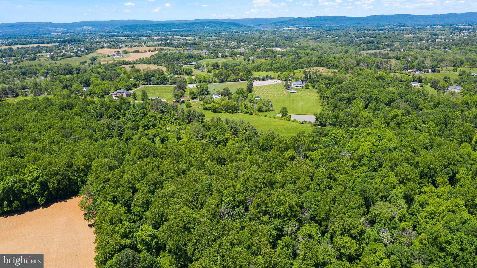 Hamilton Station Road Paeonian Springs, VA 20129 - Photo 11 of 23 Gallery Image 11