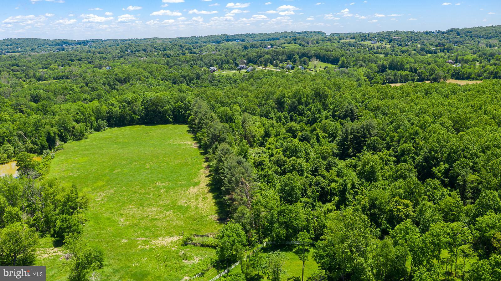 Hamilton Station Road Paeonian Springs, VA 20129 - Photo 15 of 23 Gallery Image 15
