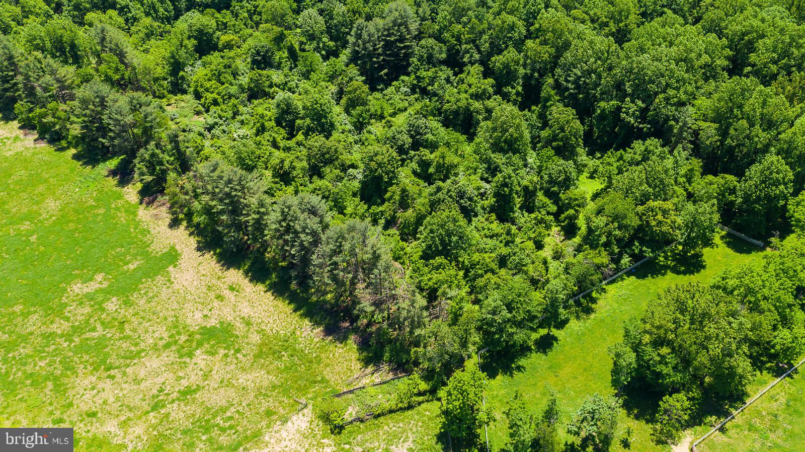 Hamilton Station Road Paeonian Springs, VA 20129 - Photo 16 of 23 Gallery Image 16