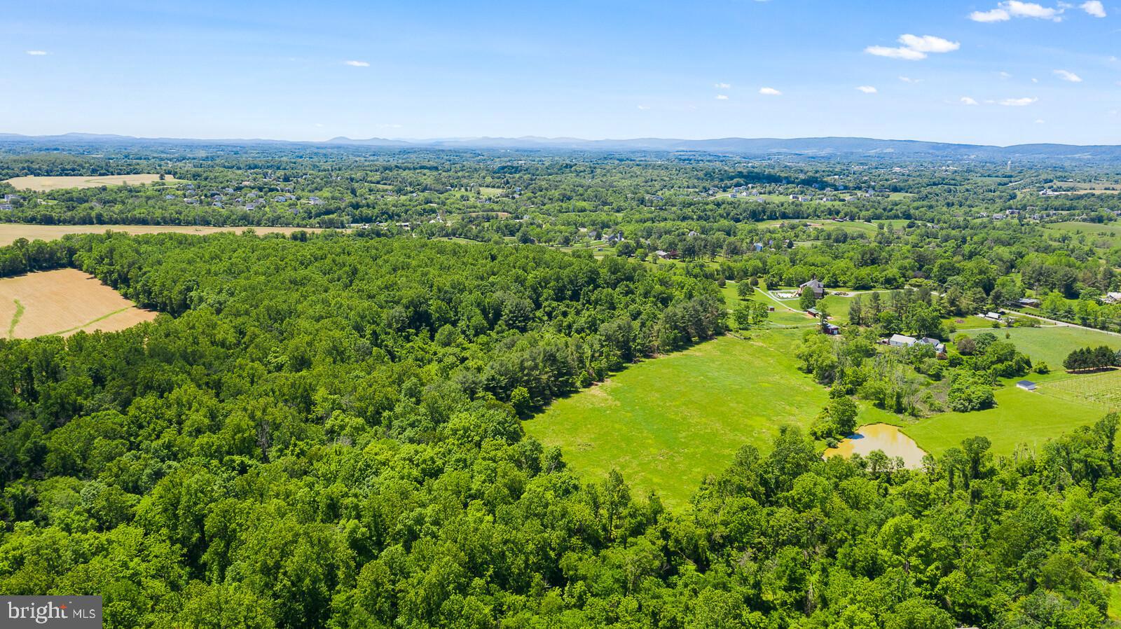 Hamilton Station Road Paeonian Springs, VA 20129 - Photo 17 of 23 Gallery Image 17