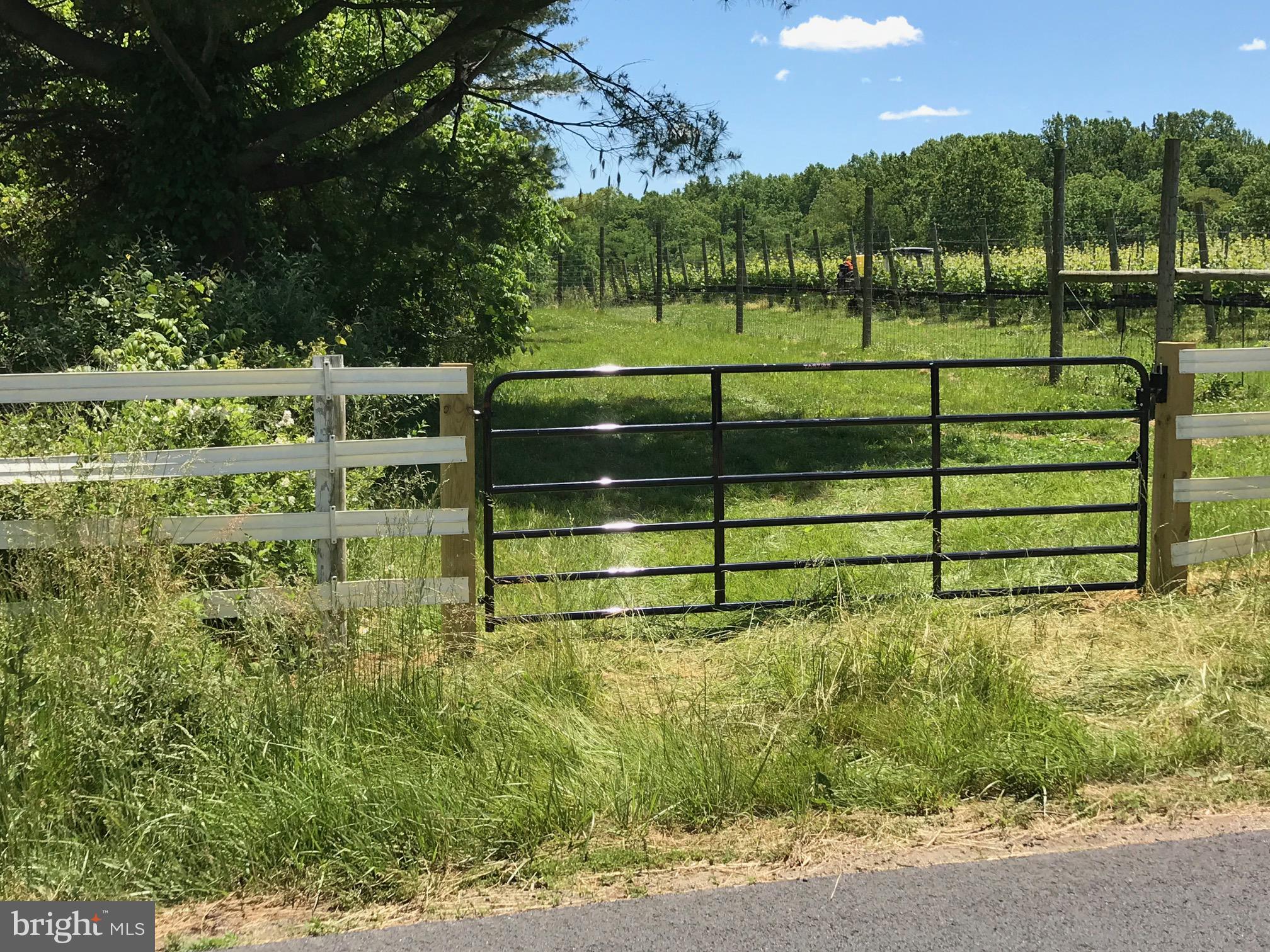 Hamilton Station Road Paeonian Springs, VA 20129 - Photo 20 of 23 Black farm gate at entrance to access easement.