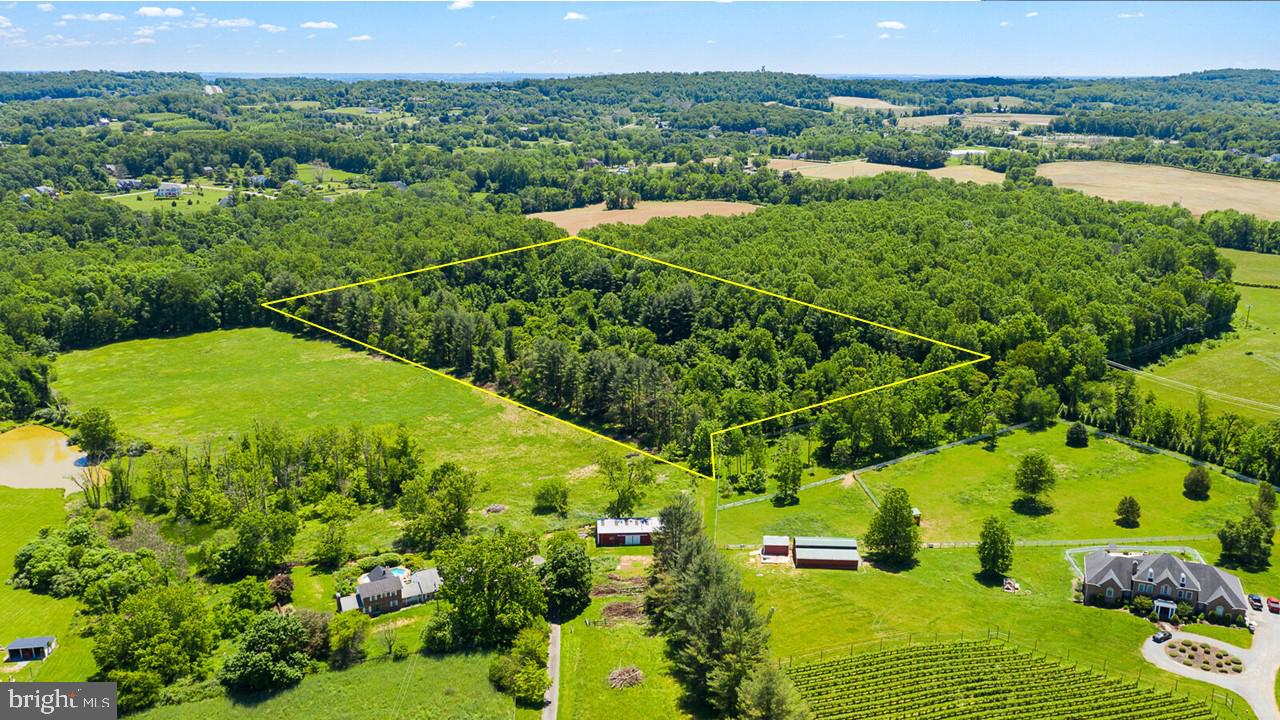 Hamilton Station Road Paeonian Springs, VA 20129 - Photo 3 of 23 Gallery Image 3