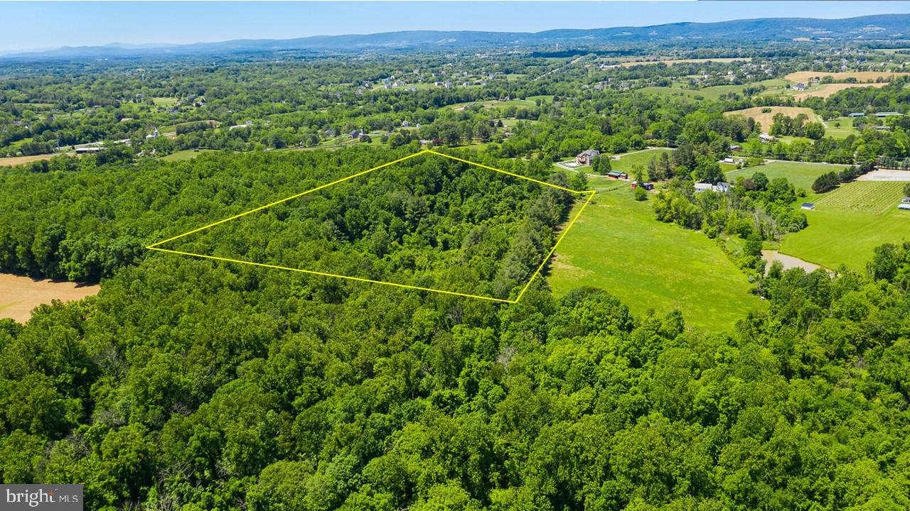 Hamilton Station Road Paeonian Springs, VA 20129 - Photo 6 of 23 Gallery Image 6