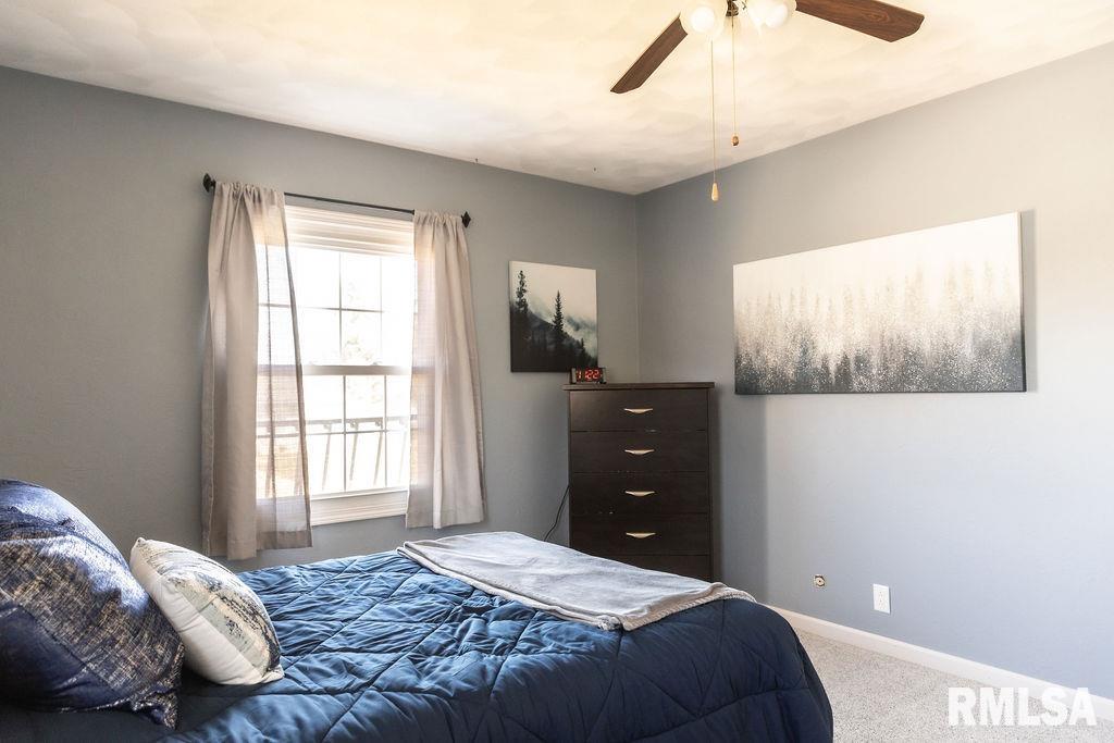 214 Pecan Street Canton, IL 61520 - Photo 27 of 44