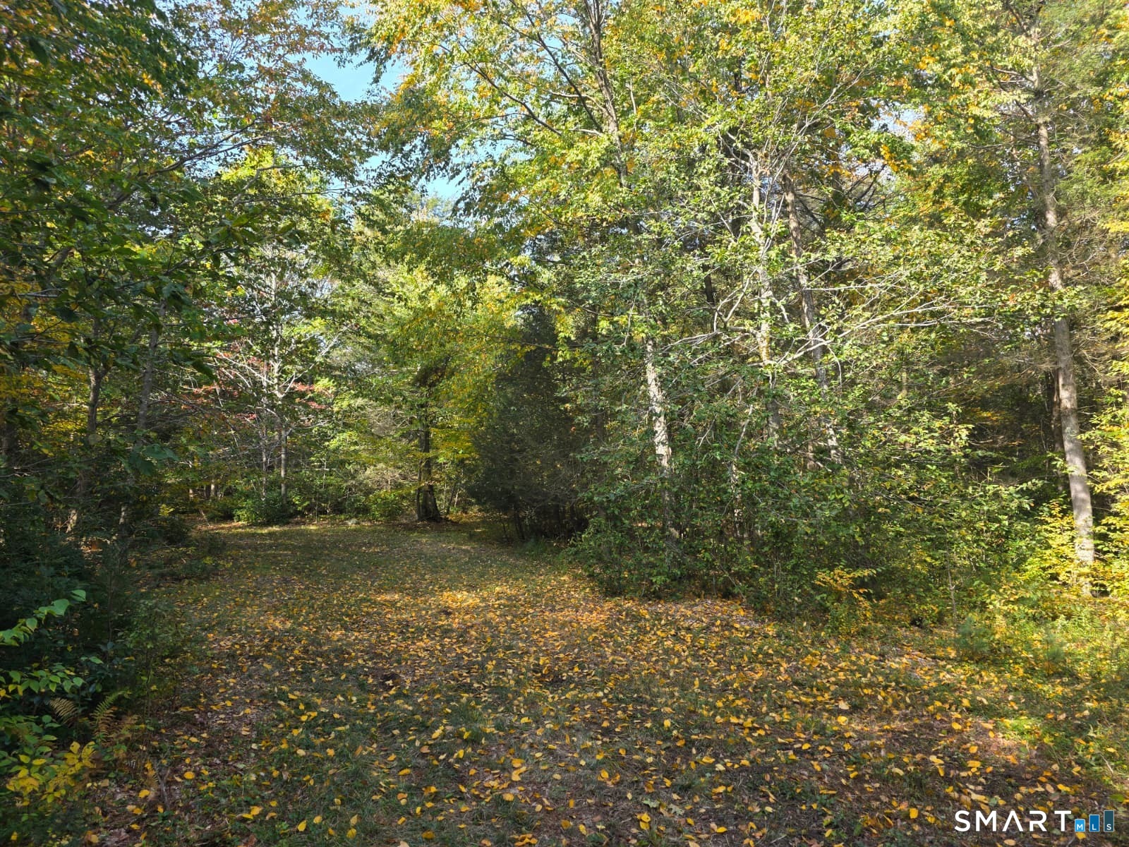 53 Flagg Hill Road Colebrook, CT 06021 - Photo 7 of 17 Gallery Image 7