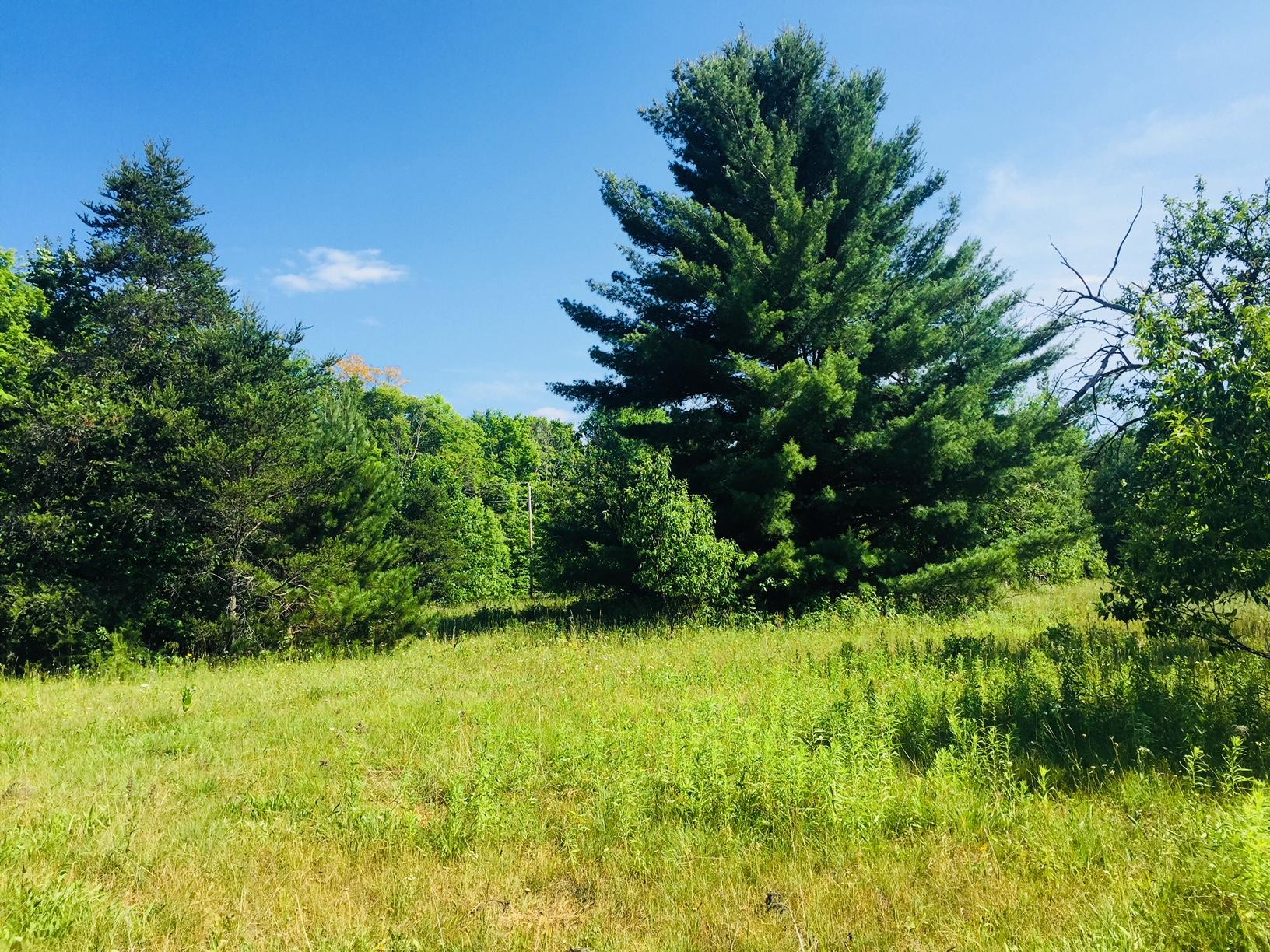 North Weaver Road Frederic, MI 49733 - Photo 5 of 8 Gallery Image 5