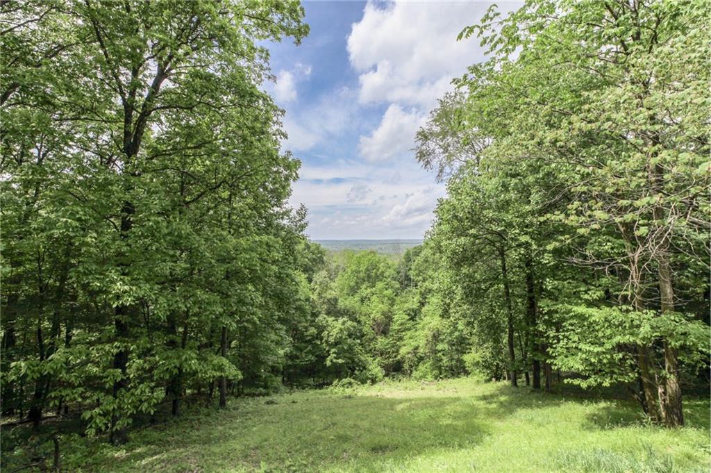 1016 Freeman Ridge Road Nashville, IN 47448 - Photo 2 of 36