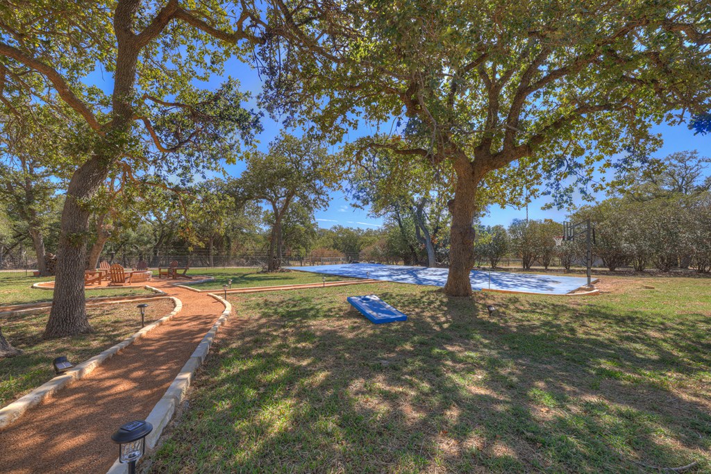 113 Weitz Road Fredericksburg, TX 78624 - Photo 23 of 50 a view of backyard with large trees