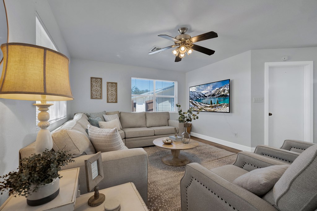 113 Weitz Road Fredericksburg, TX 78624 - Photo 36 of 50 a living room with furniture and a potted plant