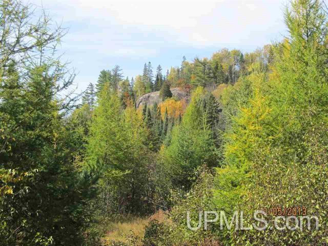 Tbd Tbd Co Road Michigamme, MI 49861 - Photo 10 of 18