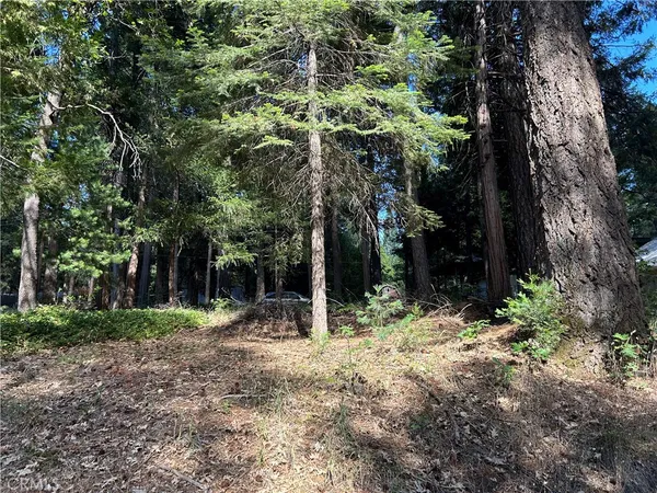 $13,000 | 0 Bridgeport, Magalia, CA 95954