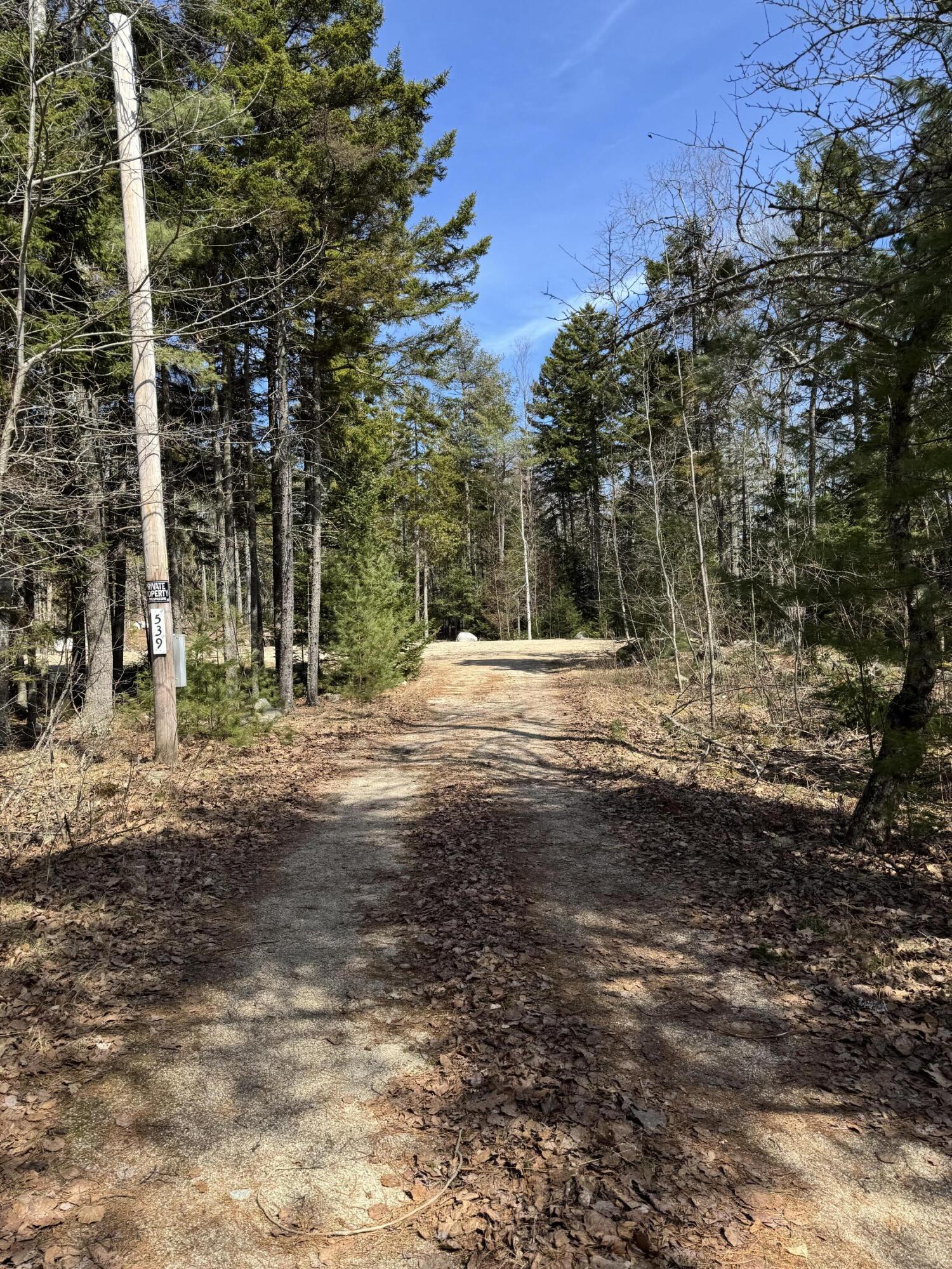 539 Sedgwick Ridge Road Sedgwick, ME 04676 - Photo 13 of 13
