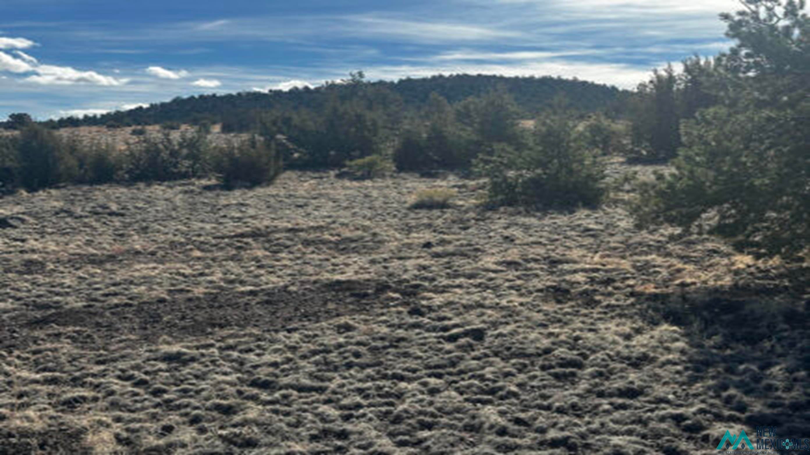 Xx Xx Powerline Road Quemado, NM 87829 - Photo 8 of 9