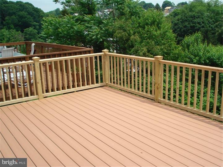 268 Ripka Street Philadelphia, PA 19127 - Photo 14 of 15 Deck