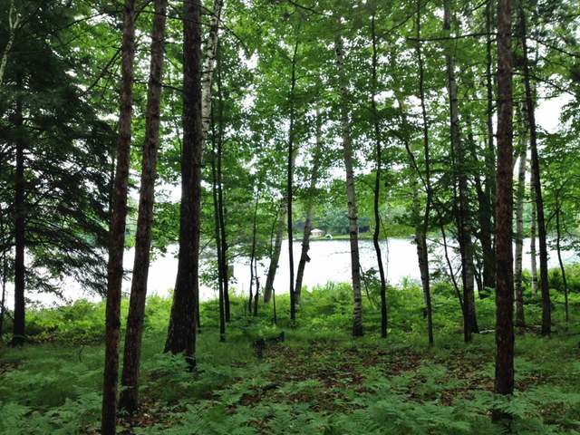 Lot B Rolling Ridge Road Tomahawk, WI 54487 - Photo 1 of 13 Gallery Image 1