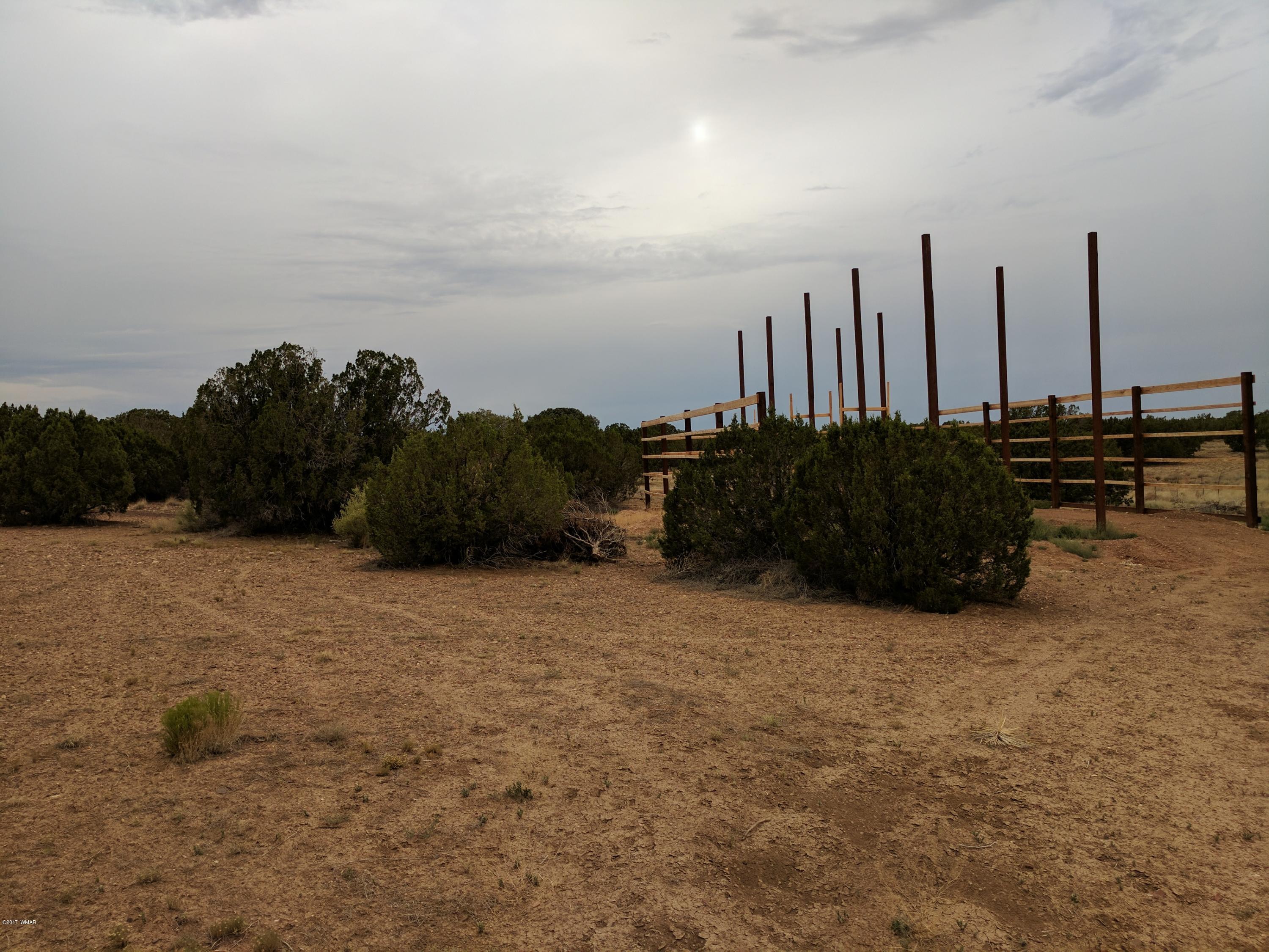 3405 Hereford Road Taylor, AZ 85939 - Photo 11 of 18