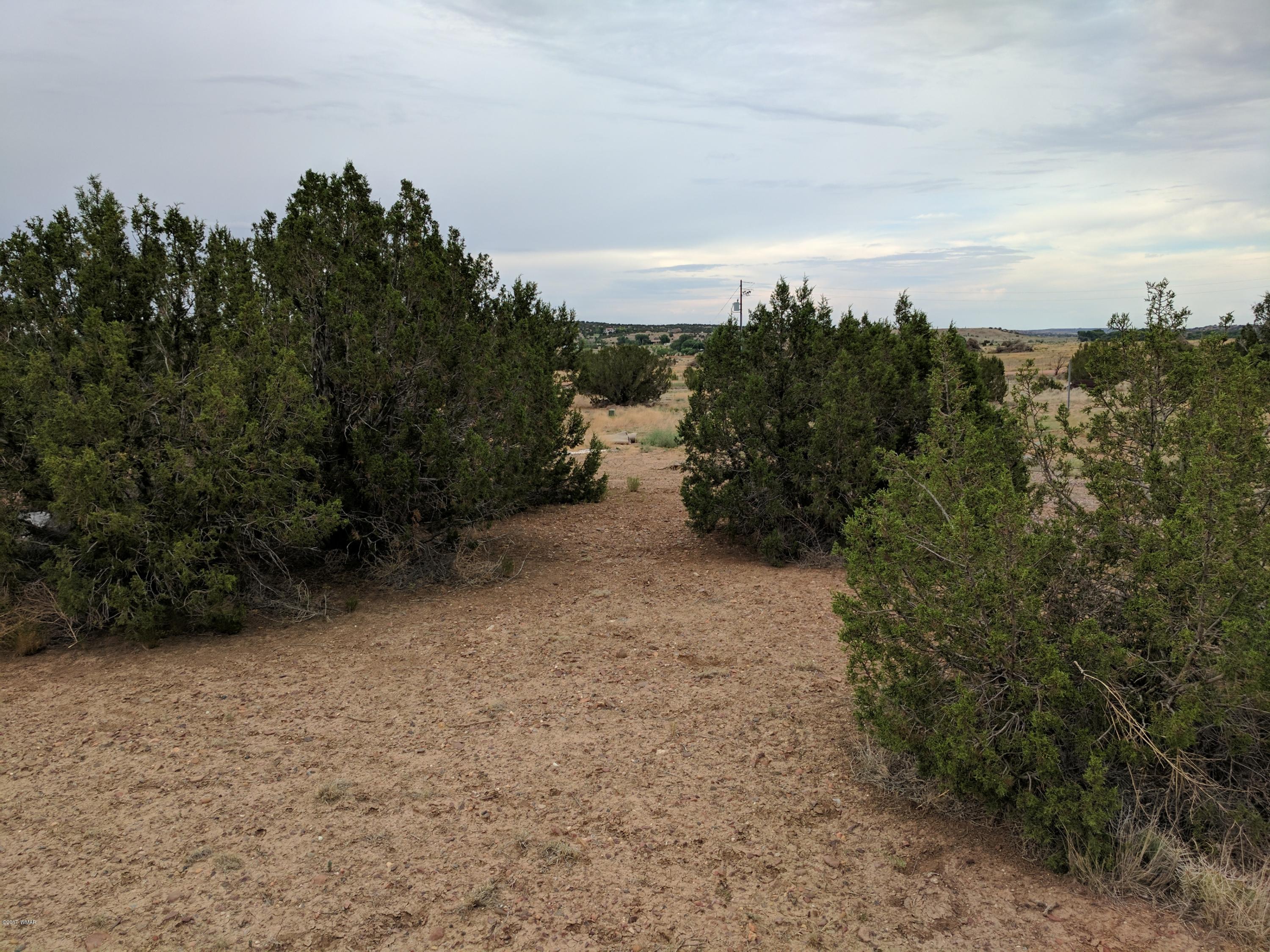 3405 Hereford Road Taylor, AZ 85939 - Photo 12 of 18
