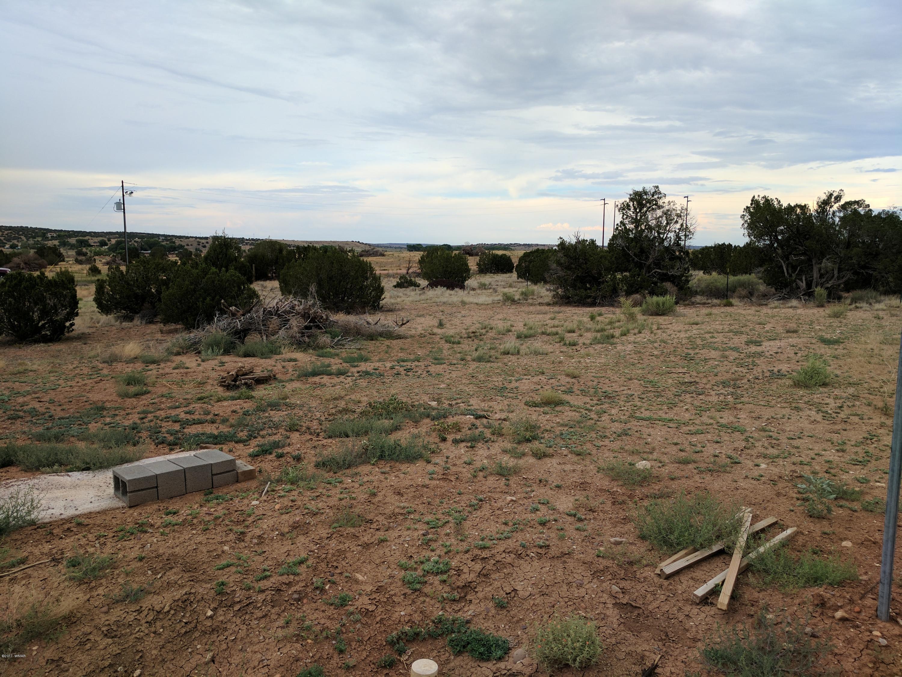 3405 Hereford Road Taylor, AZ 85939 - Photo 16 of 18