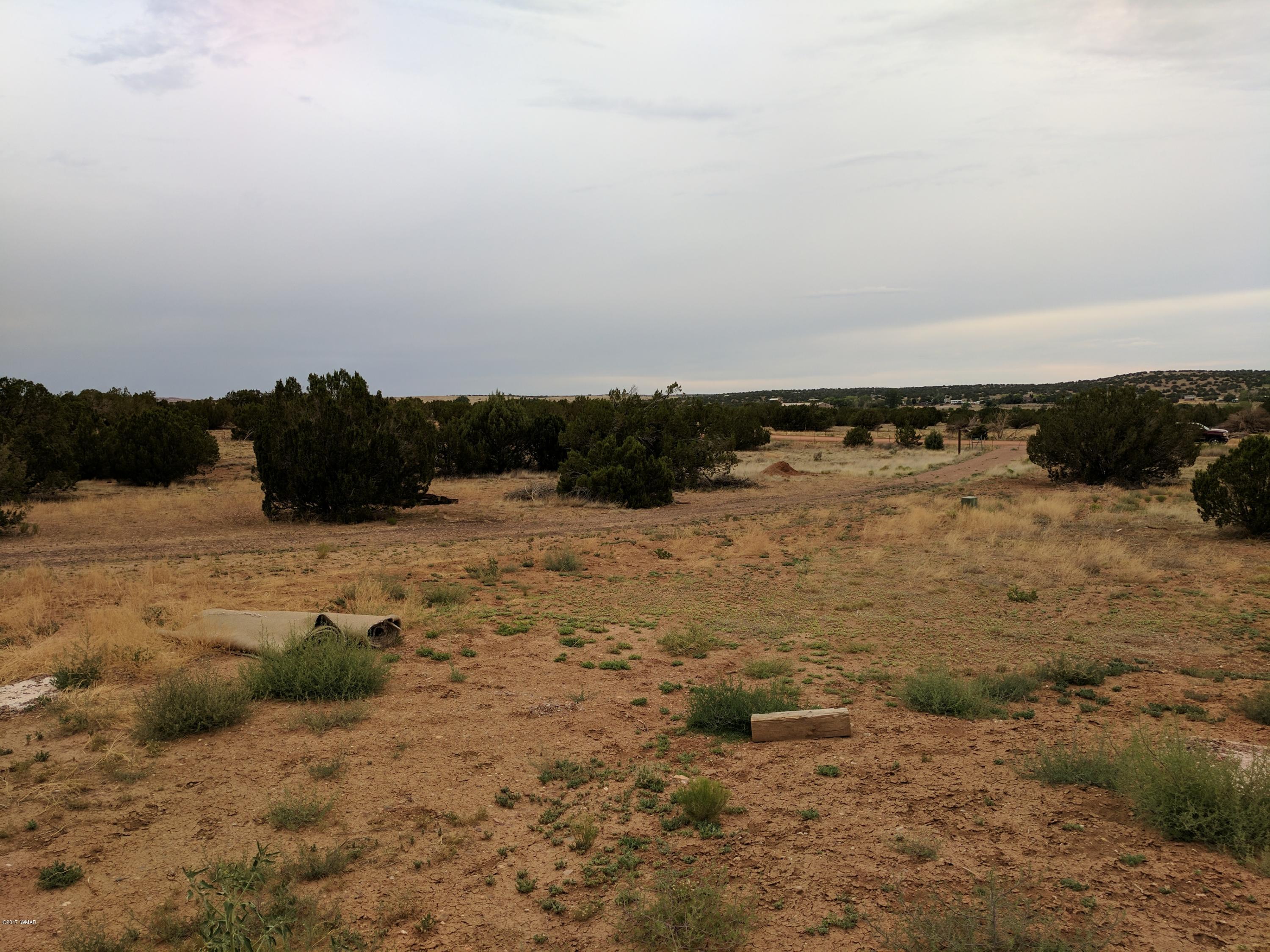 3405 Hereford Road Taylor, AZ 85939 - Photo 17 of 18