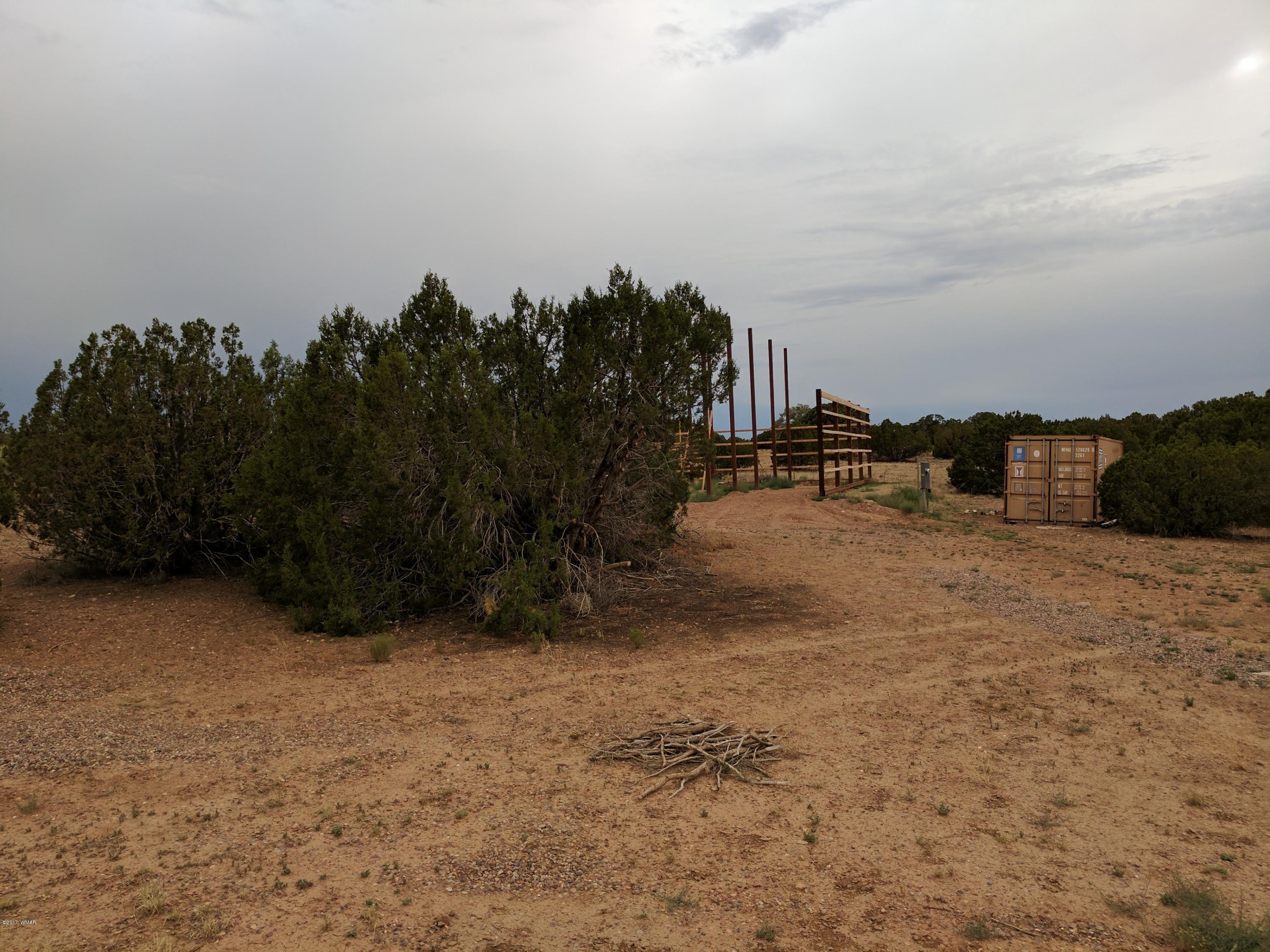 3405 Hereford Road Taylor, AZ 85939 - Photo 18 of 18
