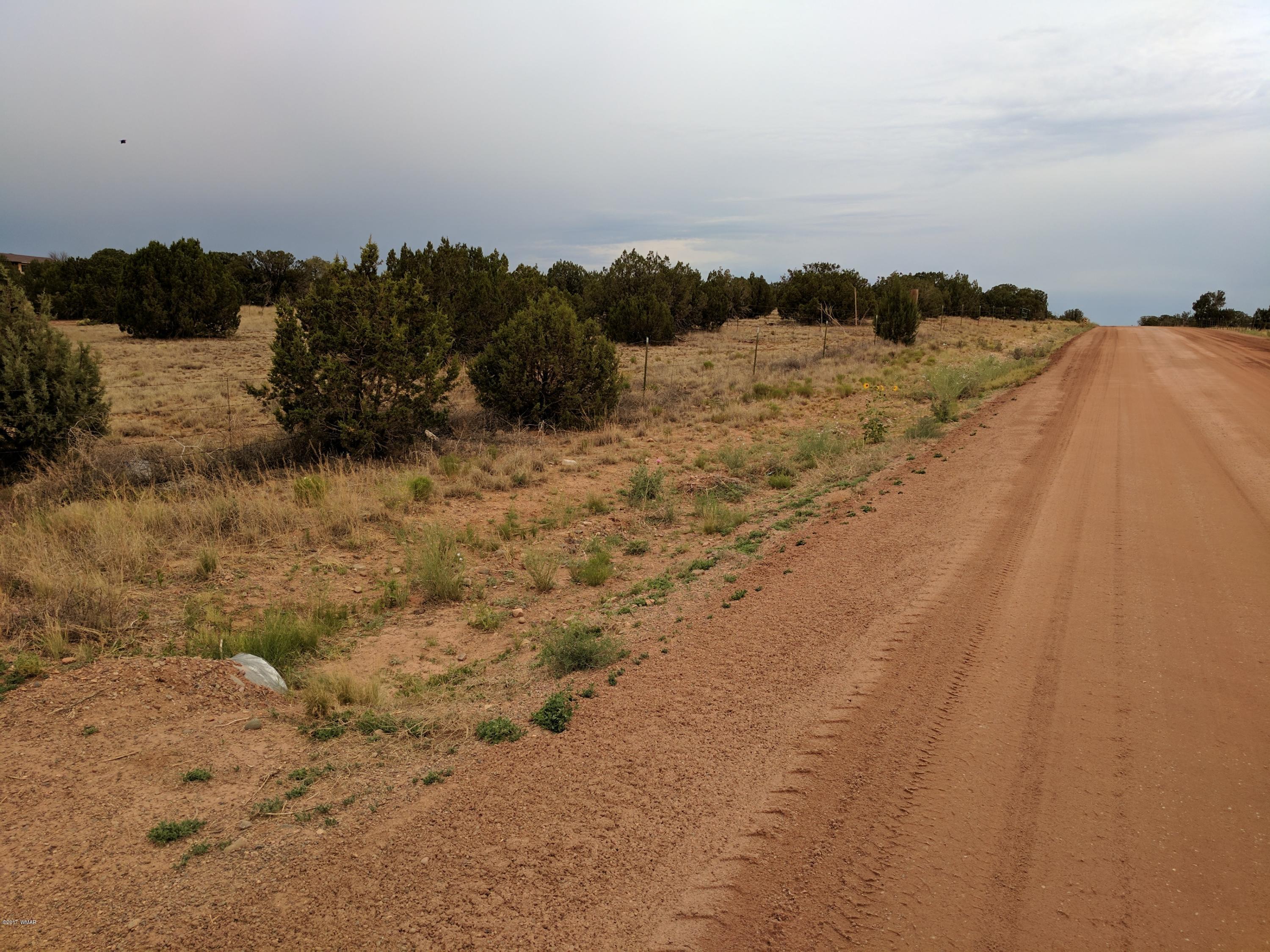 3405 Hereford Road Taylor, AZ 85939 - Photo 2 of 18