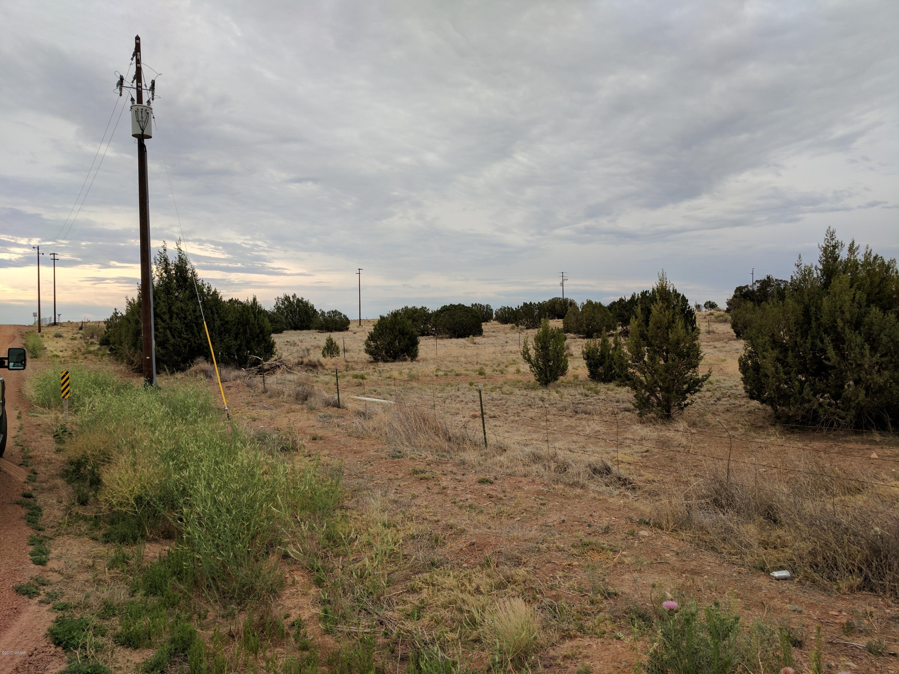 3405 Hereford Road Taylor, AZ 85939 - Photo 3 of 18