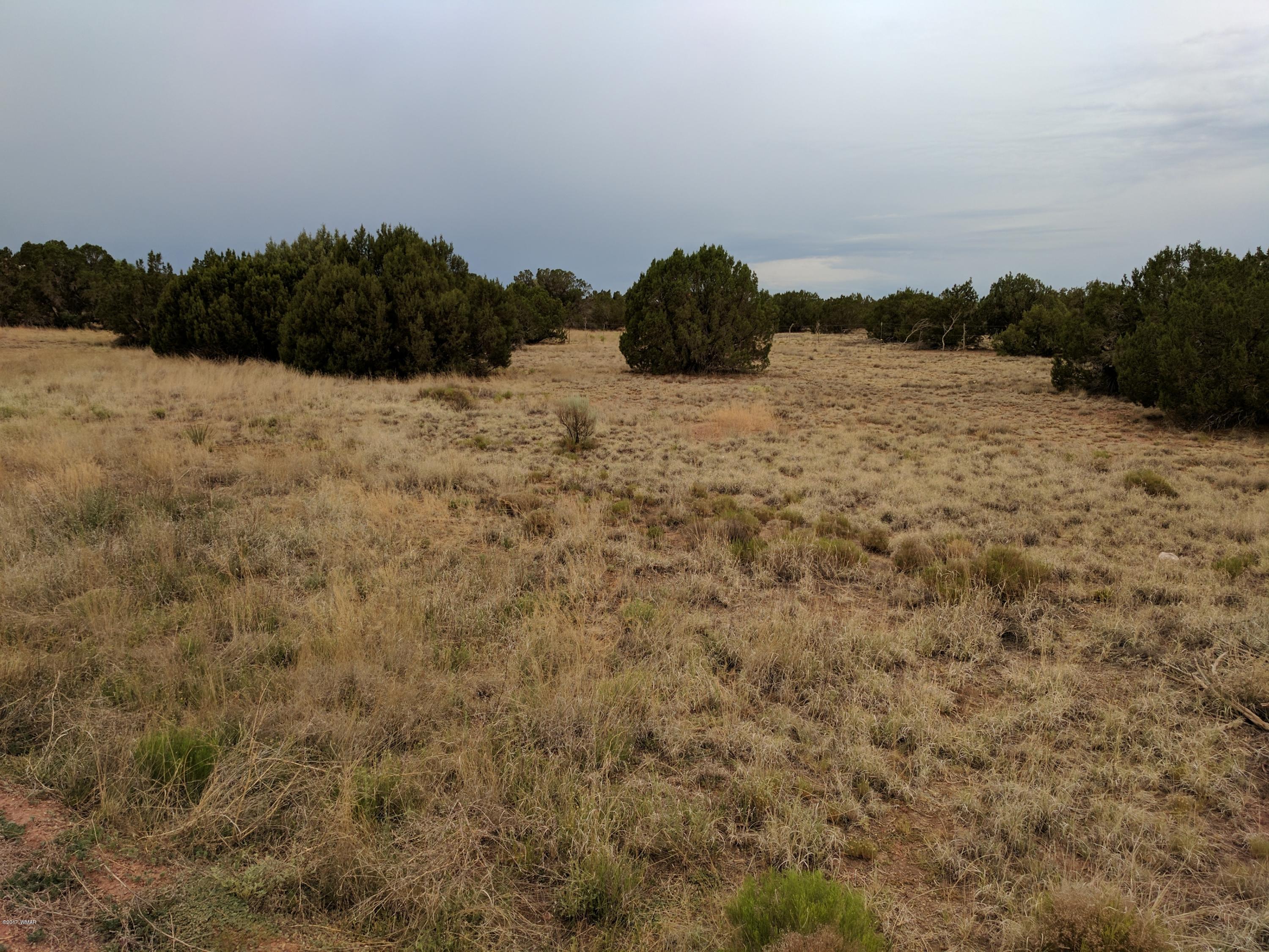 3405 Hereford Road Taylor, AZ 85939 - Photo 5 of 18