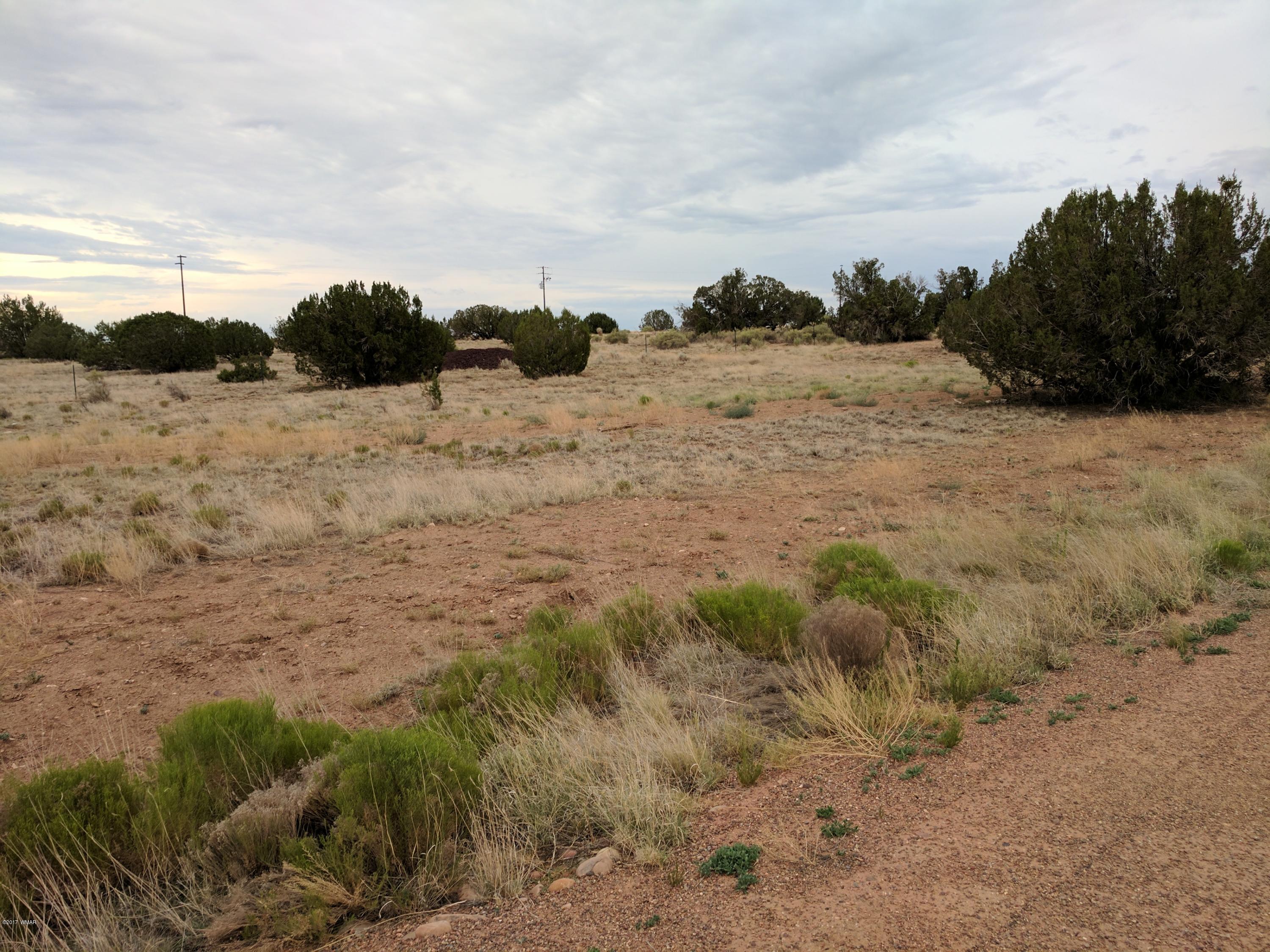 3405 Hereford Road Taylor, AZ 85939 - Photo 6 of 18