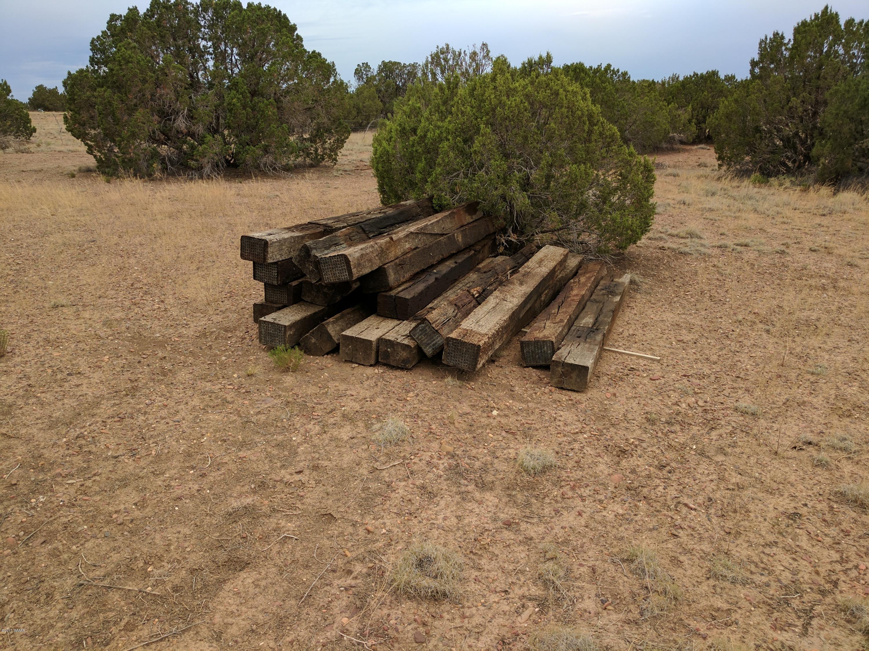 3405 Hereford Road Taylor, AZ 85939 - Photo 7 of 18