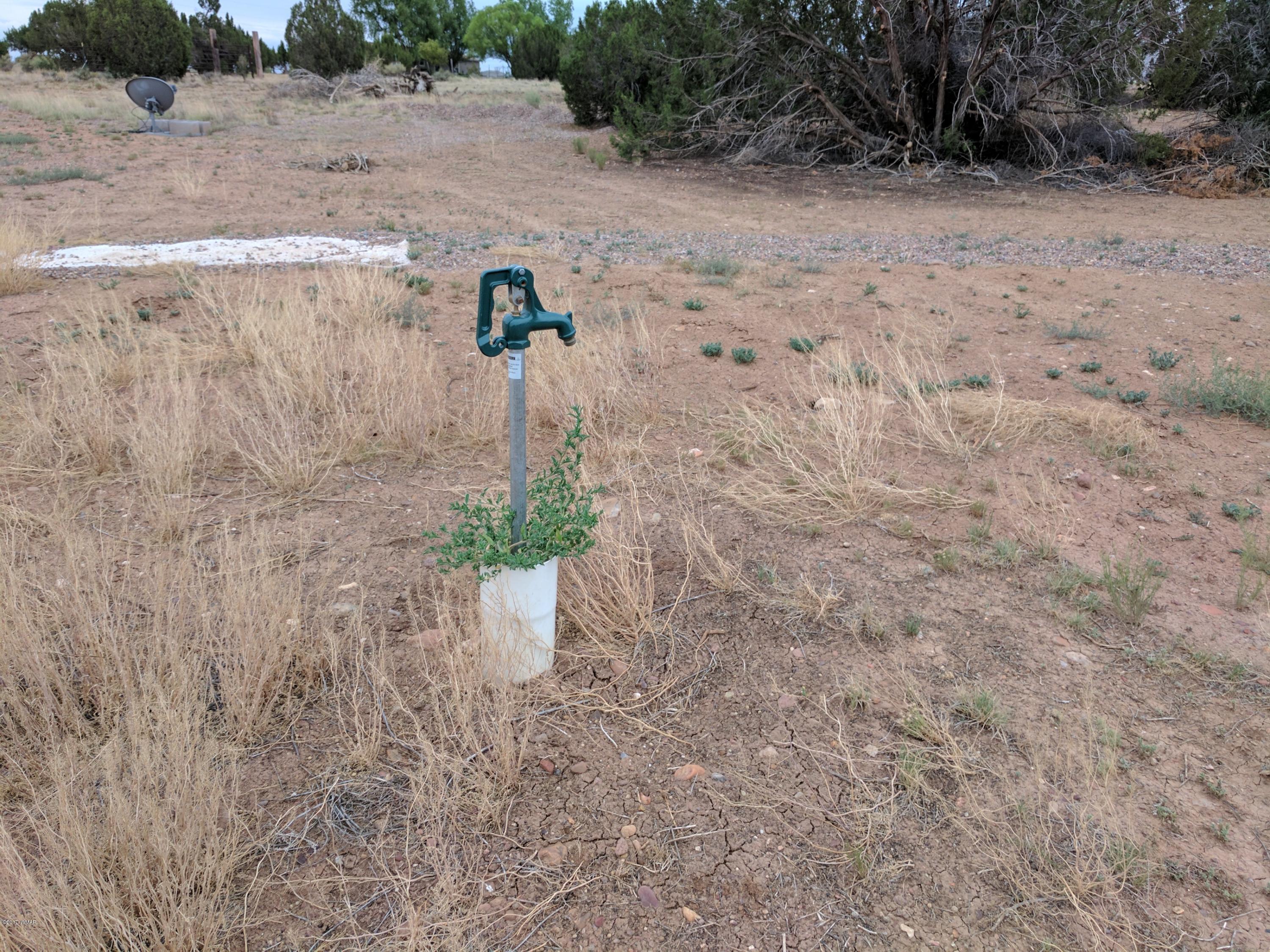 3405 Hereford Road Taylor, AZ 85939 - Photo 8 of 18