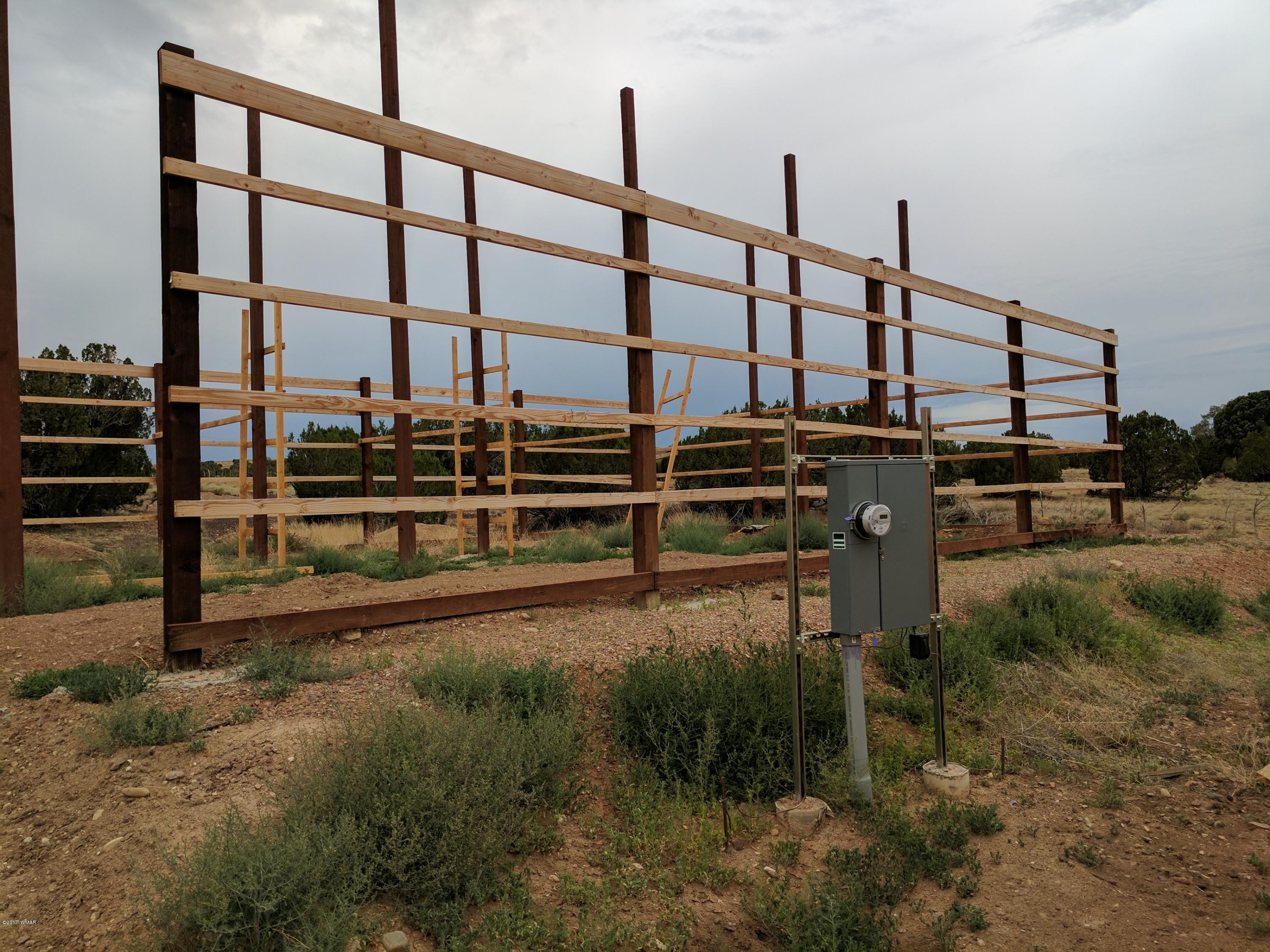 3405 Hereford Road Taylor, AZ 85939 - Photo 9 of 18