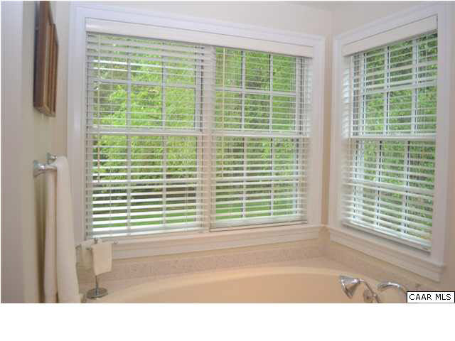 1715 Meadowbrook Heights Road Charlottesville, VA 22901 - Photo 12 of 23 Tranquil master bath upstairs overlooks private back yard. Separate tub and shower.
