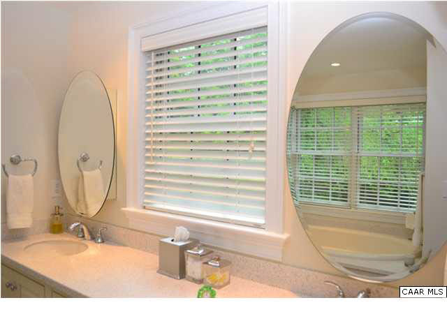 1715 Meadowbrook Heights Road Charlottesville, VA 22901 - Photo 13 of 23 Plenty of natural light here as well a double sink vanity.